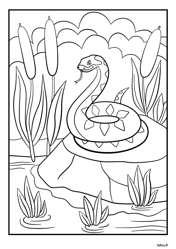 Coloriage à imprimer, un serpent sur un rocher au bord de la rivière