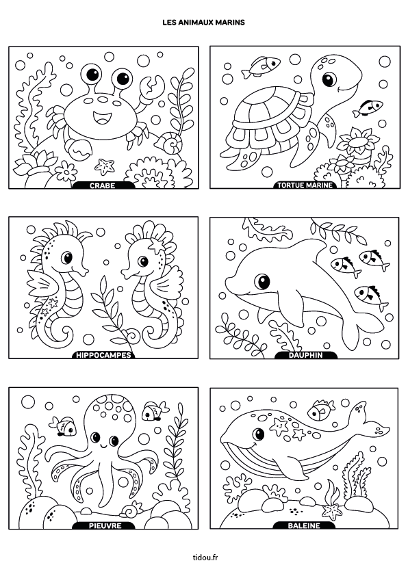 Dessins à imprimer et à colorier, les animaux marins : un crabe, une tortue marine, un hippocampe, un dauphin, une pieuvre et une baleine