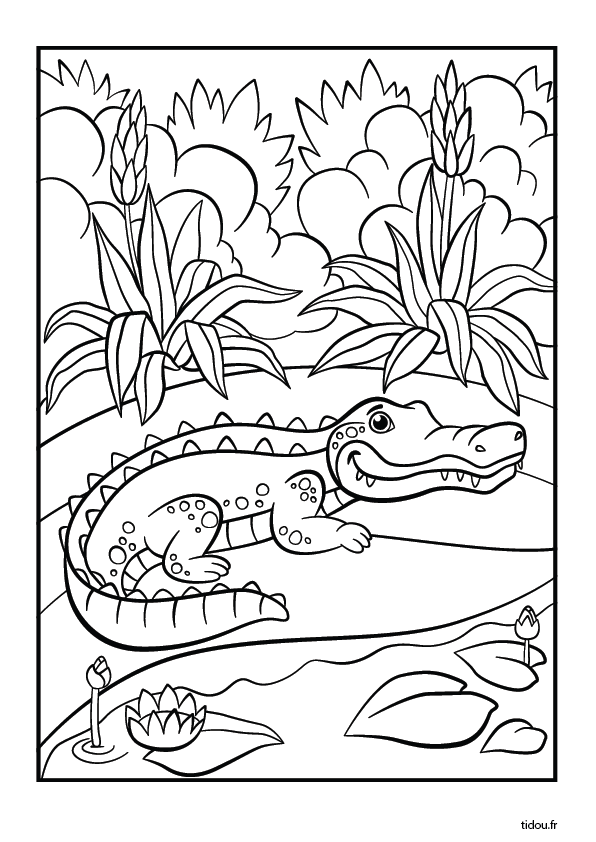 Coloriage à imprimer, un crocodile