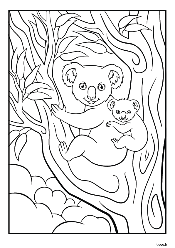 Coloriage à imprimer, un koala porte son petit sur son dos