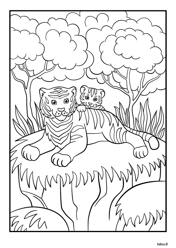 Coloriage à imprimer, un tigre allongé avec son petit