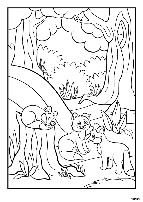 Coloriage, des renardeaux dans la forêt