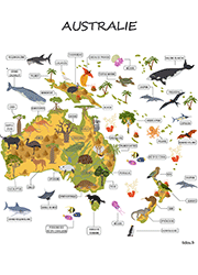Carte de l'Australie avec animaux et arbres