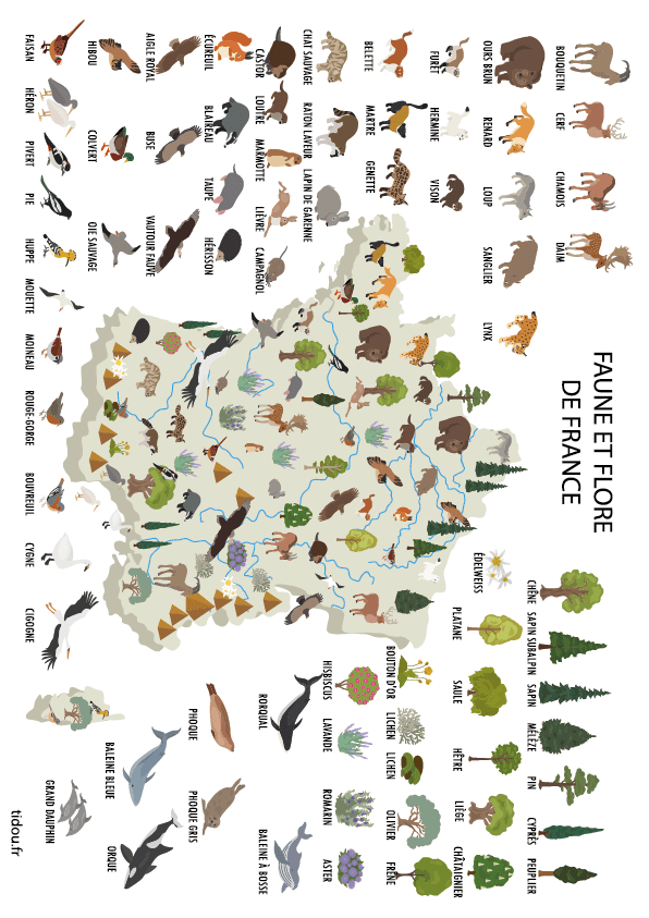 La flore et la faune de France, carte à imprimer