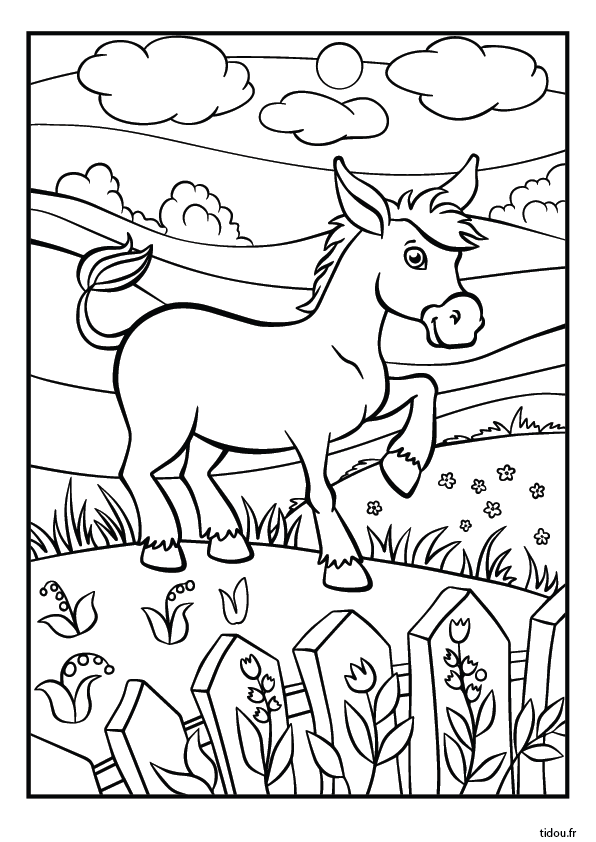 Coloriage à imprimer, un âne