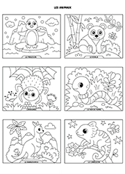 Page de coloriages d'animaux sauvages à imprimer : le pingouin, le panda, l'araignée, le ver de terre, le kangourou et le caméléon.