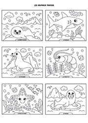 Page de coloriages d'animaux marins à imprimer :  le bébé phoque, le requin, le phoque, la crevette, l'étoile de mer et le morse
