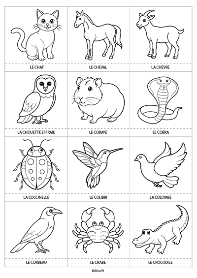 Dessins à imprimer et à colorier, les animaux  :  le chat, le cheval, la chèvre, la chouette, le cobaye, le cobra, la coccinelle, le colibri, la colombe, le corbeau, le crabe et le crocodile.