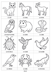 Cartes d'animaux à imprimer :  le chat, le cheval, la chèvre, la chouette, le cobaye, le cobra, la coccinelle, le colibri, la colombe, le corbeau, le crabe et le crocodile.