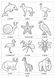 Cartes d'animaux à imprimer :  le dauphin, le dingo, l'émeu, l'escargot, l'étoile de mer, le faucon, le flamant rose, la fourmi, le frelon, le furet, la girafe et le gorille.