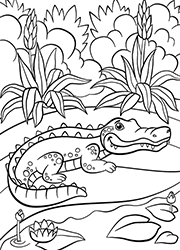Dessin à colorier, un crocodile