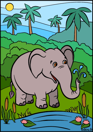 Image en couleur d'un éléphant