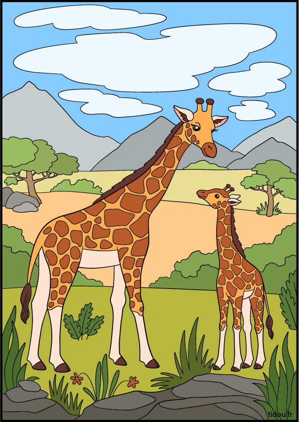 Image en couleur d'un girafe et son girafon, savane africaine