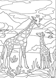 Dessin à colorier, une girafe et son girafon