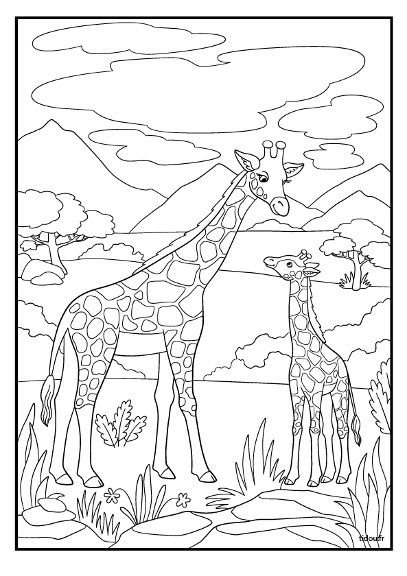 Dessin d'une girafe et son girafon à imprimer et à colorier