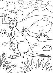 Dessin à colorier, un kangourou