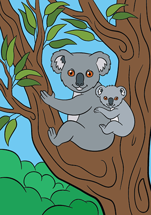 Dessin couleur, un koala et son petit sur une branche