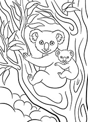 Dessin à colorier, un koala et son petit sur le dos