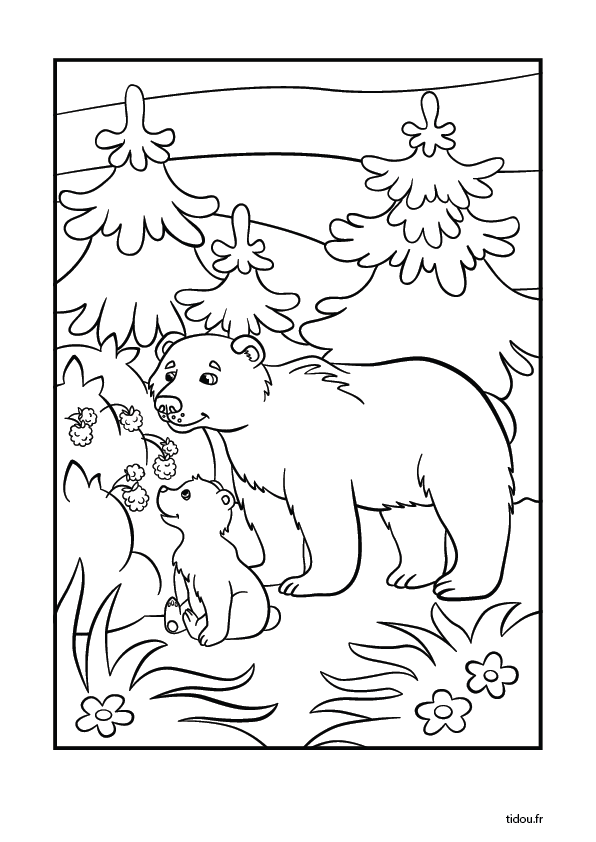 Coloriage à imprimer, un ours et un ourson