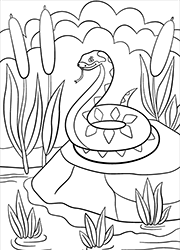 Dessin à colorier, un serpent