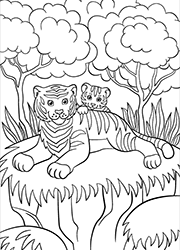 Dessin à colorier, un tigre et son petit sur le dos