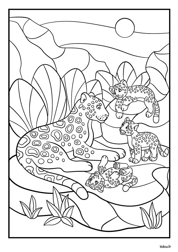 Coloriage à imprimer, un jaguar et ses petits