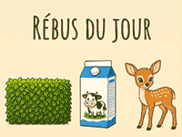 Le rébus du jour en ligne