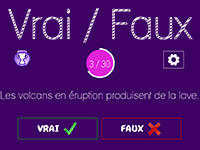 Quiz vrai-faux, enfants, jeu en ligne